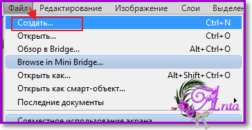 Image 1.png